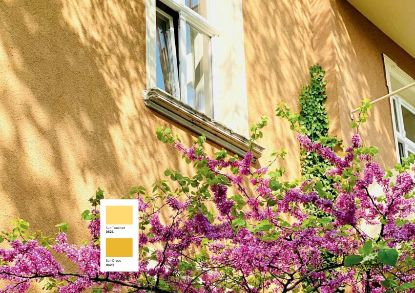 Χρώματα για εξωτερικούς τοίχους Vitex