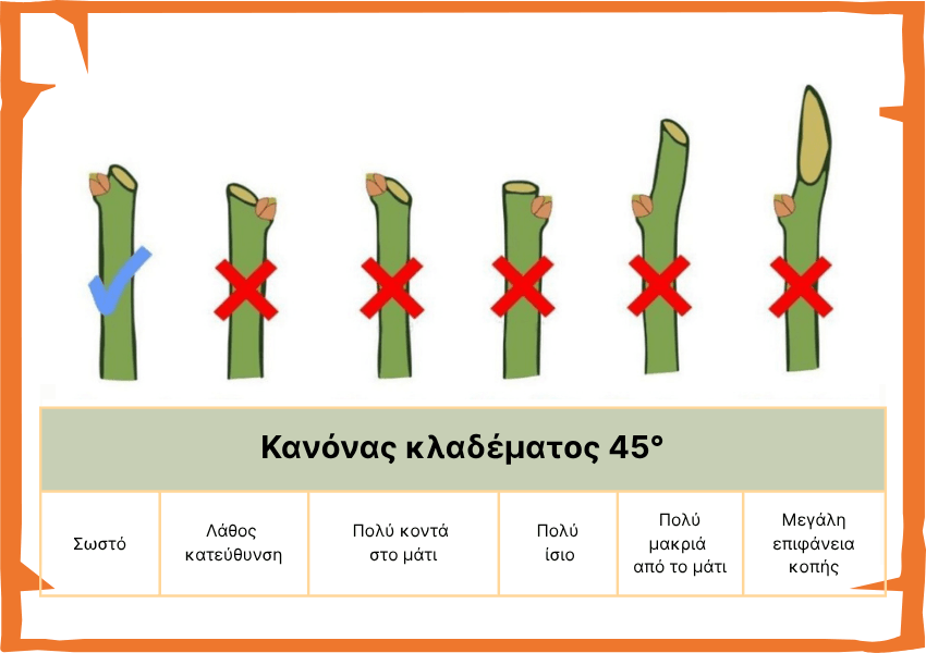 Κανόνας κλαδέματος γωνία 45°