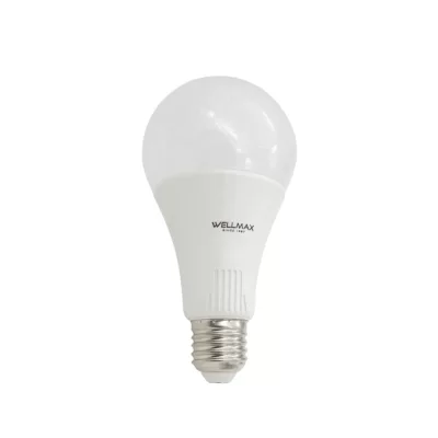 Λάμπα Led Globe A80 E27 23W με ψυχρό φως ημέρας 6.500K Wellmax