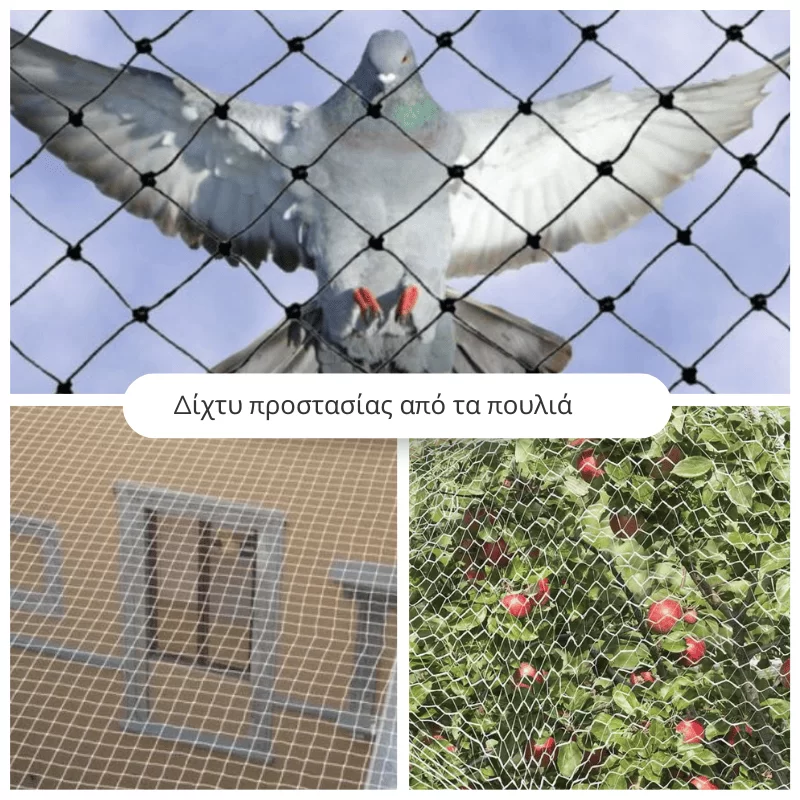 Δίχτυ προστασίας από τα πουλιά 5x5m
 (image 3)