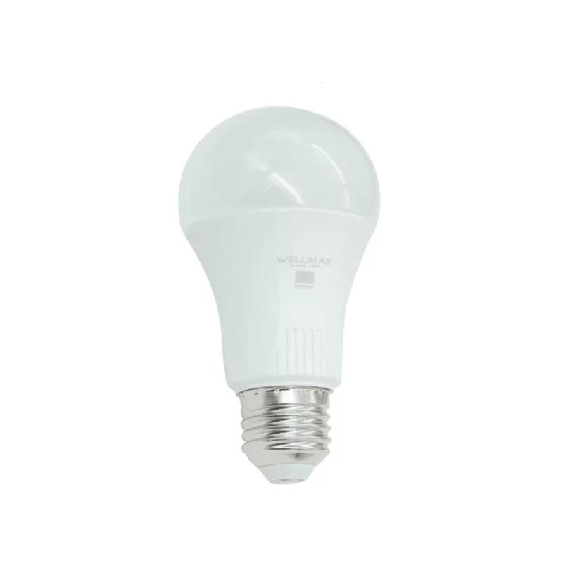 Λάμπα Led Globe A60 E27 15W με φως ημέρας 6.500K Wellmax (image 1)