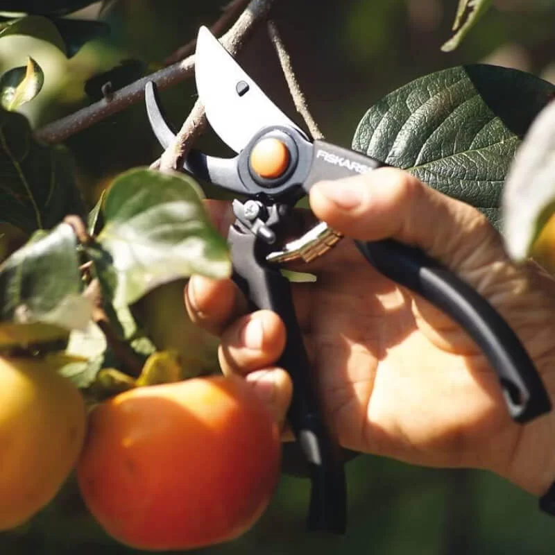 Κλαδευτήρι για κλάδεμα ντομάτας 26mm Pro Pruner P90 Fiskars