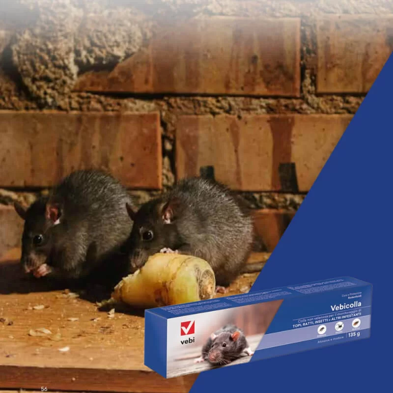 Κόλλα για ποντίκια με απλή χρήση, απλώνεται σε λεπτές στρώσεις