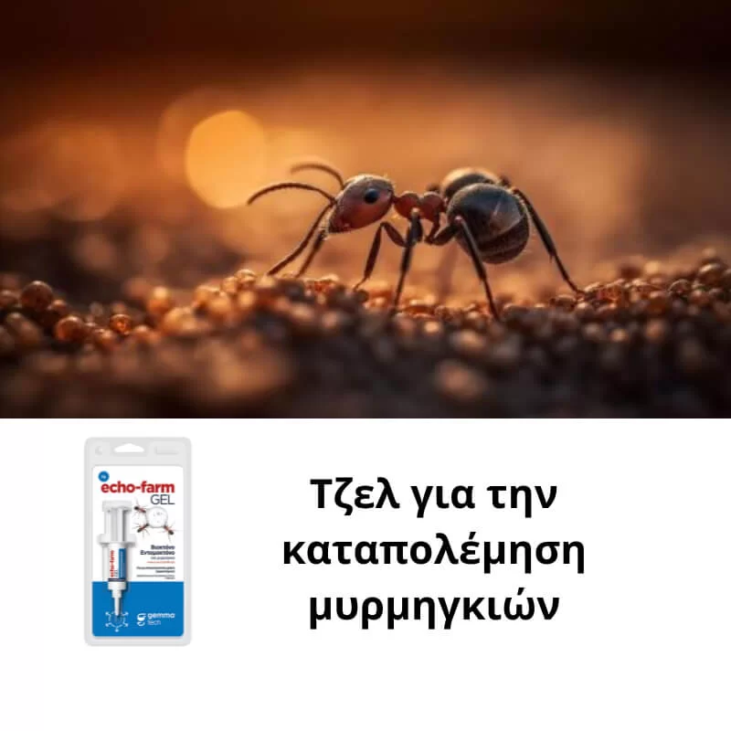 Τζελ για καταπολέμηση μυρμηγκιών - Χαλάνδρι 