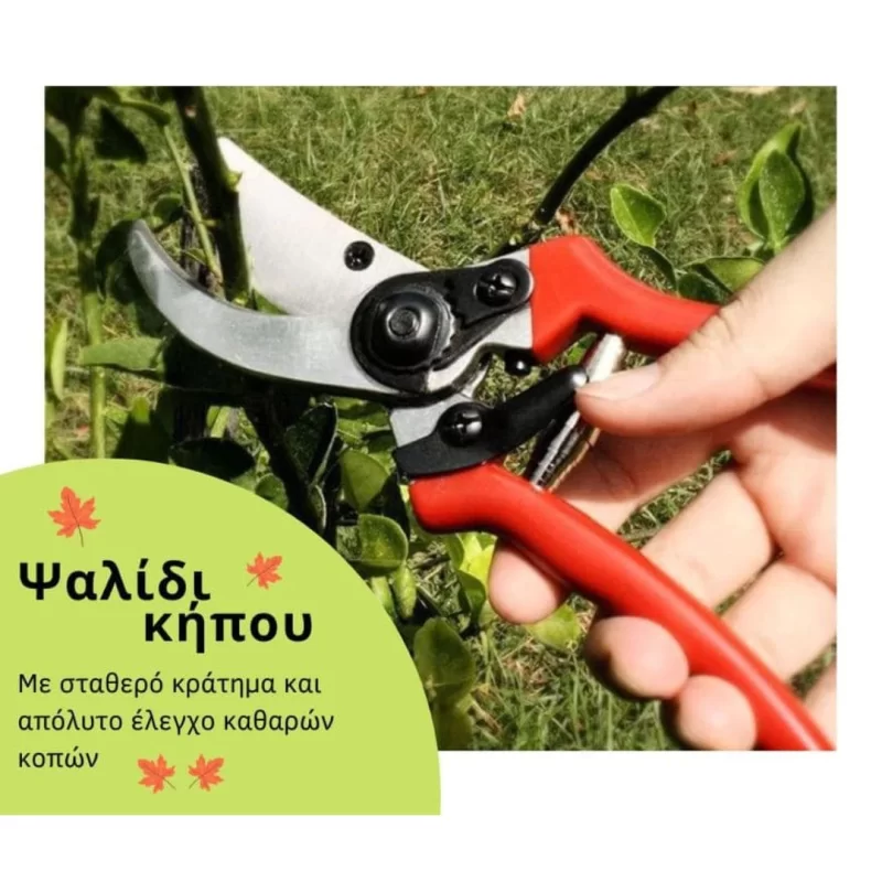 ψαλιδια κλαδεματος (image 2)