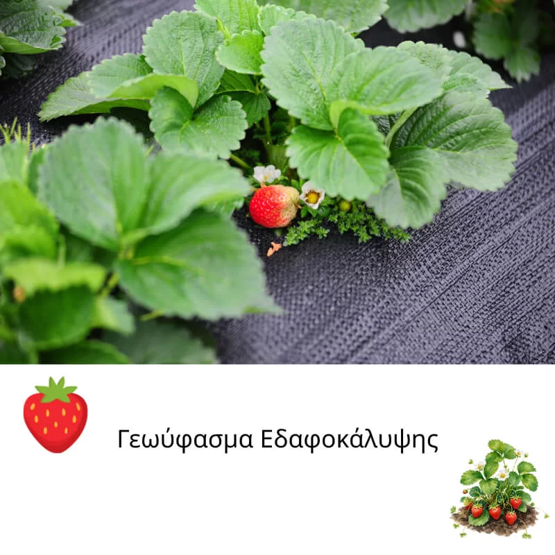 Γεωύφασμα Eδαφοκάλυψης Μαύρο - Χρωματοπωλείο Χαλάνδρι