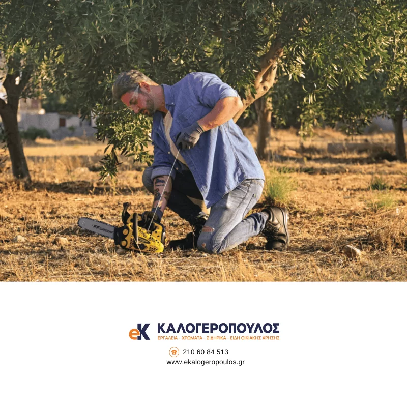 Κλαδευτικό αλυσοπρίονο βενζίνης GCS 125T EASY FF Group  (image 3)