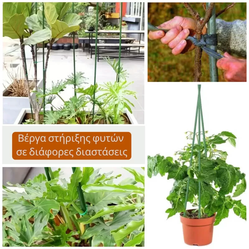 Βέργα για στήριξη φυτών σε γλάστρες, κήπους και θερμοκήπια
