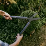 Εργονομικό ψαλίδι μπορντούρας HS22 Single Step Fiskars (thumb 6)