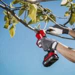 Ψαλίδι κλαδέματος μπαταρίας Skil με εργονομικό σχεδιασμό για κλάδεμα και με το ένα χέρι (thumb 5)