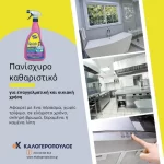 Πολύ ισχυρό καθαριστικό γενικής χρήσης 750ml Quick Cleaner Durostick (thumb 2)